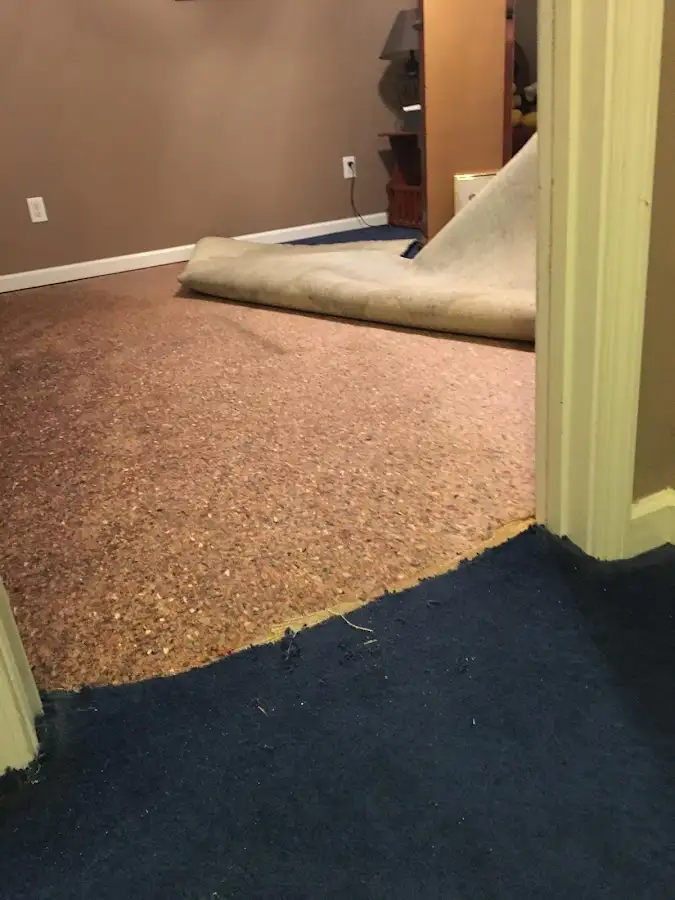 Carpet pad removal revealing water damage during Water Mitigation Services in Page
