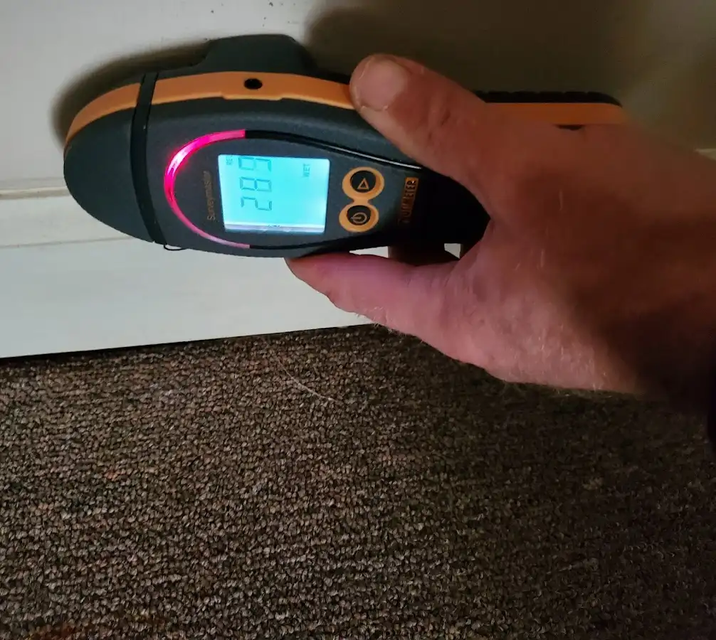 Moisture detection at baseboard during Sewage Cleanup & Sanitation in Page